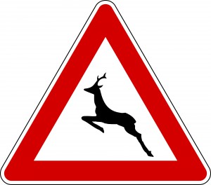 2000px-Italian_traffic_signs_-_animali_selvatici_vaganti